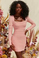 Long Sleeve Mesh Mini Dress in Blush